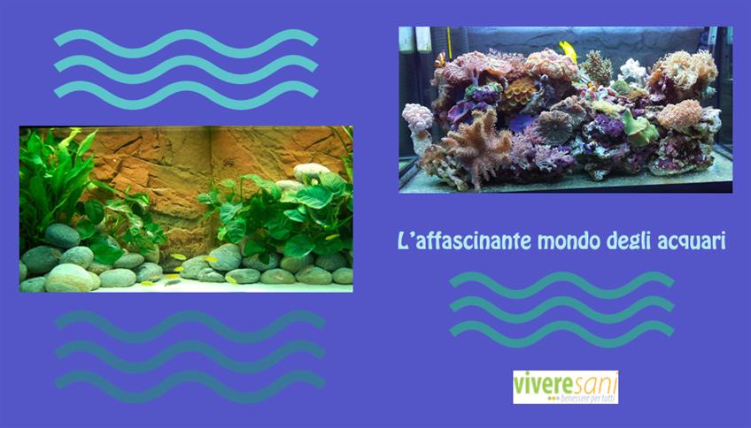 Acquariologia Acquariologia